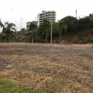 Terreno com 7000m², no bairro São Leopoldo em Caxias do Sul para Alugar