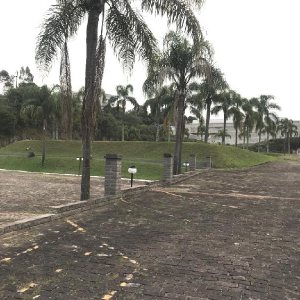 Terreno com 7000m², no bairro São Leopoldo em Caxias do Sul para Alugar