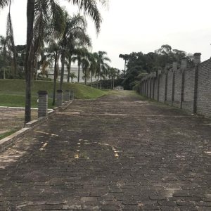 Terreno com 7000m², no bairro São Leopoldo em Caxias do Sul para Alugar