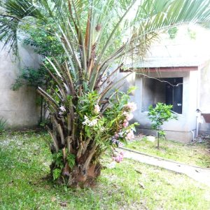 Casa com 404m², 4 dormitórios, 2 vagas, no bairro Universitário em Caxias do Sul para Comprar