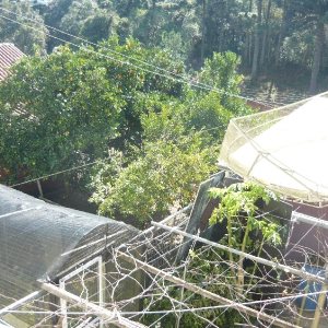 Casa com 234m², 3 dormitórios, 3 vagas, no bairro Serrano em Caxias do Sul para Comprar