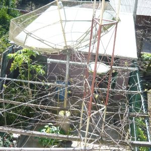 Casa com 234m², 3 dormitórios, 3 vagas, no bairro Serrano em Caxias do Sul para Comprar