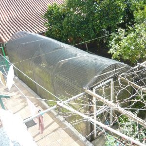 Casa com 234m², 3 dormitórios, 3 vagas, no bairro Serrano em Caxias do Sul para Comprar