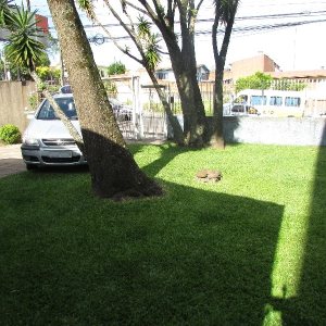 Casa Comercial com 130m², 3 dormitórios, 1 vaga, no bairro Esplanada em Caxias do Sul para Alugar