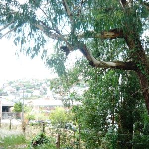 Terreno com 405m², no bairro Sanvitto em Caxias do Sul para Comprar