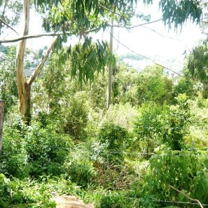 Terreno com 405m², no bairro Sanvitto em Caxias do Sul para Comprar