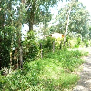 Terreno com 405m², no bairro Sanvitto em Caxias do Sul para Comprar