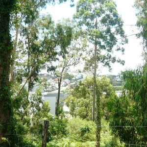 Terreno com 405m², no bairro Sanvitto em Caxias do Sul para Comprar