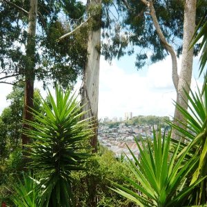 Terreno com 405m², no bairro Sanvitto em Caxias do Sul para Comprar