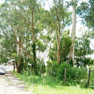 Terreno com 405m², no bairro Sanvitto em Caxias do Sul para Comprar