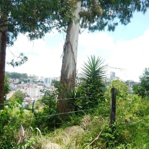 Terreno com 405m², no bairro Sanvitto em Caxias do Sul para Comprar