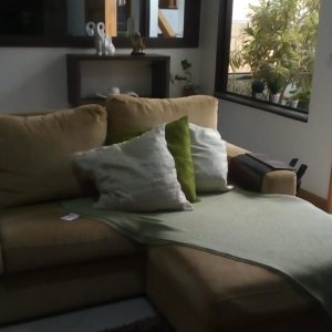 Casa com 220m², 3 dormitórios, 2 vagas, no bairro São Luiz em Caxias do Sul para Comprar