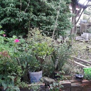 Casa com 29m², 2 dormitórios, 1 vaga, no bairro Diamantino em Caxias do Sul para Comprar