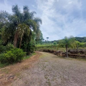 Casa com 73m², 3 dormitórios, 3 vagas, no bairro 9 Legua em Caxias do Sul para Comprar