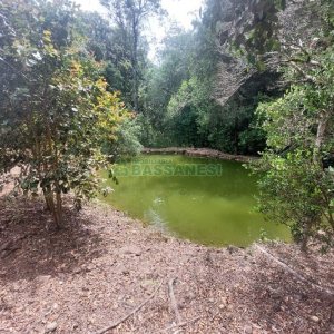 Casa com 73m², 3 dormitórios, 3 vagas, no bairro 9 Legua em Caxias do Sul para Comprar