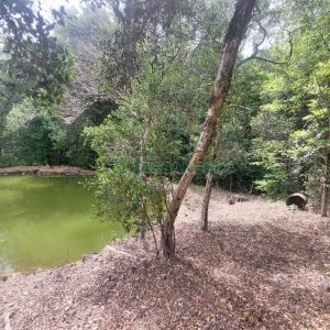 Casa com 73m², 3 dormitórios, 3 vagas, no bairro 9 Legua em Caxias do Sul para Comprar