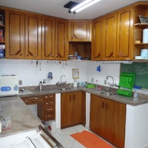 Casa Comercial com 170m², 3 vagas, no bairro São Pelegrino em Caxias do Sul para Alugar