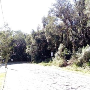 Terreno, no bairro Centro em Caxias do Sul para Comprar