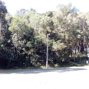 Terreno, no bairro Centro em Caxias do Sul para Comprar