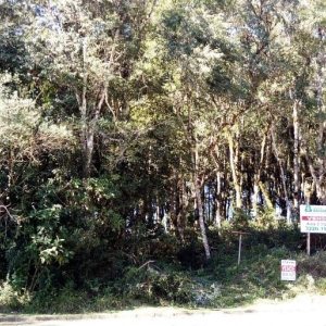 Terreno, no bairro Centro em Caxias do Sul para Comprar