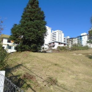Terreno, no bairro Sanvitto em Caxias do Sul para Comprar