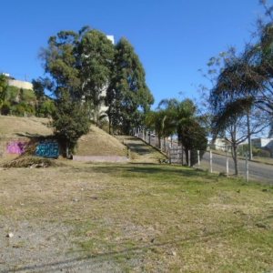 Terreno, no bairro Sanvitto em Caxias do Sul para Comprar