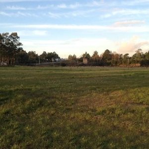 Pavilhão com 25000m², no bairro Cidade Nova em Caxias do Sul para Alugar