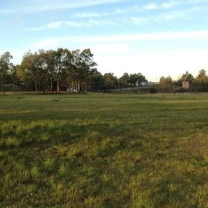 Pavilhão com 25000m², no bairro Cidade Nova em Caxias do Sul para Alugar