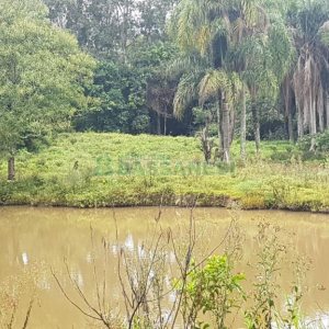 Chácara com 250m², 3 dormitórios, no bairro Conceição em Caxias do Sul para Comprar