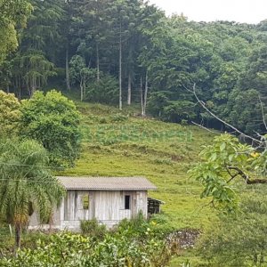 Chácara com 250m², 3 dormitórios, no bairro Conceição em Caxias do Sul para Comprar