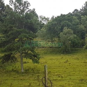 Chácara com 250m², 3 dormitórios, no bairro Conceição em Caxias do Sul para Comprar