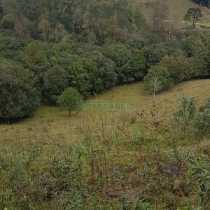 Chácara com 250m², 3 dormitórios, no bairro Conceição em Caxias do Sul para Comprar