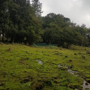 Chácara com 250m², 3 dormitórios, no bairro Conceição em Caxias do Sul para Comprar