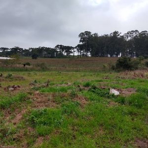 Terreno com 4896m², no bairro Nossa Senhora da Saúde em Caxias do Sul para Comprar