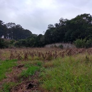 Terreno com 4896m², no bairro Nossa Senhora da Saúde em Caxias do Sul para Comprar