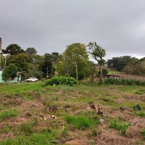 Terreno com 4896m², no bairro Nossa Senhora da Saúde em Caxias do Sul para Comprar