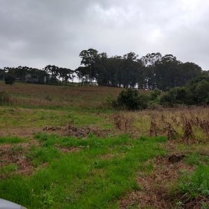 Terreno com 4896m², no bairro Nossa Senhora da Saúde em Caxias do Sul para Comprar