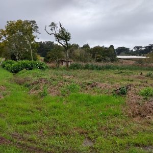 Terreno com 4896m², no bairro Nossa Senhora da Saúde em Caxias do Sul para Comprar