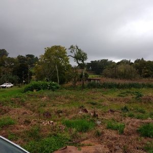 Terreno com 4896m², no bairro Nossa Senhora da Saúde em Caxias do Sul para Comprar