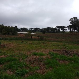 Terreno com 4896m², no bairro Nossa Senhora da Saúde em Caxias do Sul para Comprar