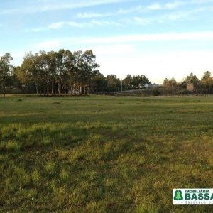 Pavilhão com 10000m², no bairro Industrial em Caxias do Sul para Alugar