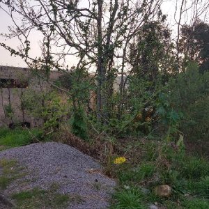 Terreno com 360m², no bairro Santa Catarina em Caxias do Sul para Comprar