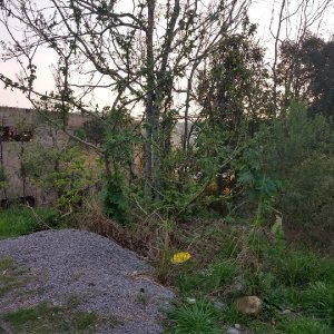 Terreno com 360m², no bairro Santa Catarina em Caxias do Sul para Comprar