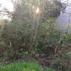 Terreno com 360m², no bairro Santa Catarina em Caxias do Sul para Comprar