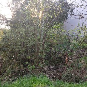 Terreno com 360m², no bairro Santa Catarina em Caxias do Sul para Comprar