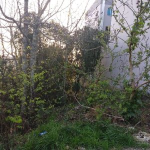 Terreno com 360m², no bairro Santa Catarina em Caxias do Sul para Comprar