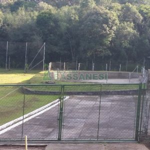 Chácara com 20000m², 8 dormitórios, no bairro Nossa Senhora da Saúde em Caxias do Sul para Alugar ou Comprar