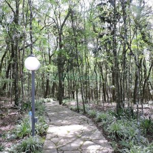 Chácara com 20000m², 8 dormitórios, no bairro Nossa Senhora da Saúde em Caxias do Sul para Alugar ou Comprar