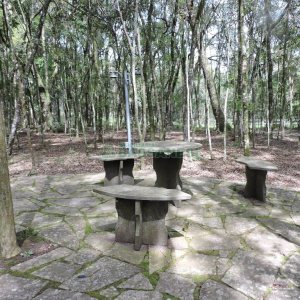 Chácara com 20000m², 8 dormitórios, no bairro Nossa Senhora da Saúde em Caxias do Sul para Alugar ou Comprar