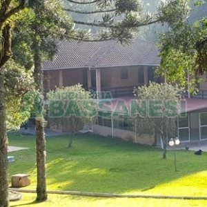 Chácara com 20000m², 8 dormitórios, no bairro Nossa Senhora da Saúde em Caxias do Sul para Alugar ou Comprar